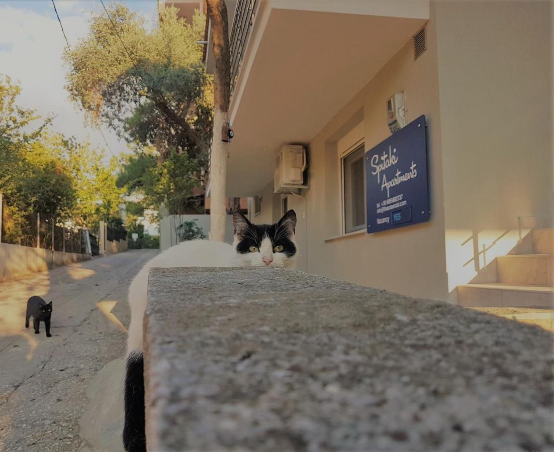 Spitaki Apartments Potos Zewnętrze zdjęcie